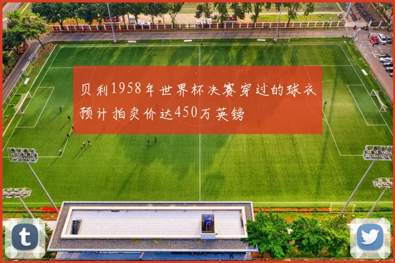 贝利1958年世界杯决赛穿过的球衣预计拍卖价达450万英镑