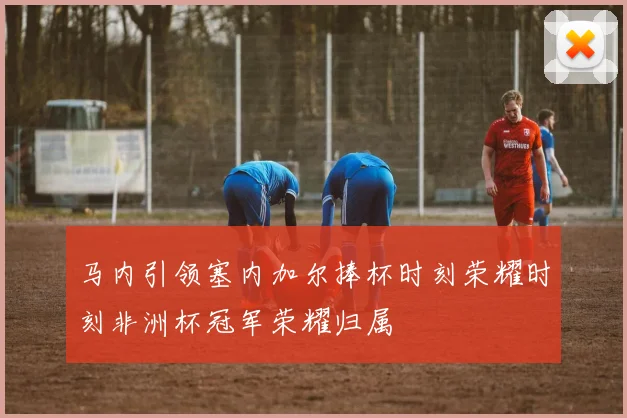 马内引领塞内加尔捧杯时刻荣耀时刻非洲杯冠军荣耀归属