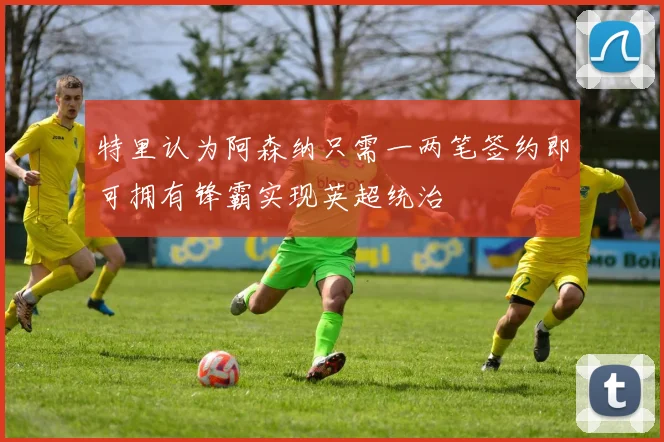 特里认为阿森纳只需一两笔签约即可拥有锋霸实现英超统治